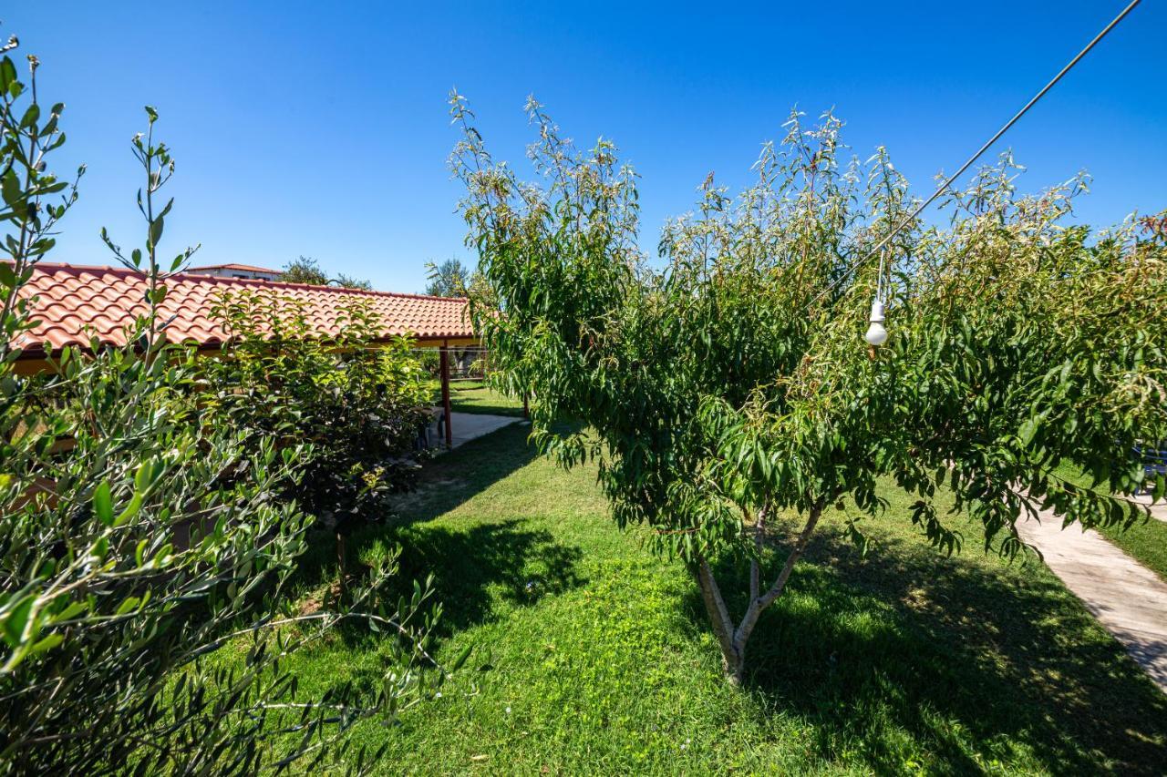 בורש Guest House Luiza מראה חיצוני תמונה