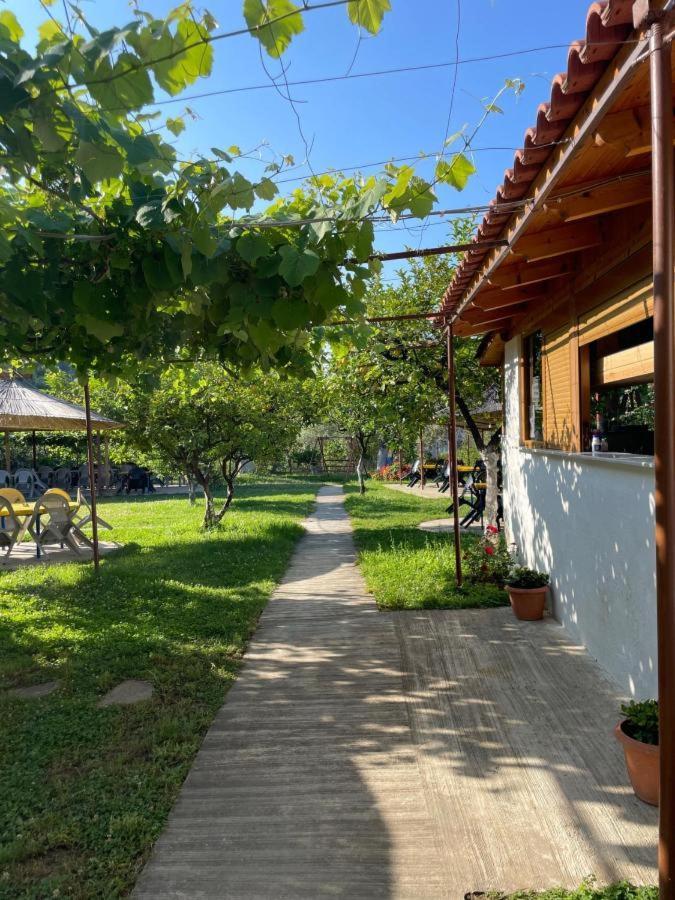 בורש Guest House Luiza מראה חיצוני תמונה