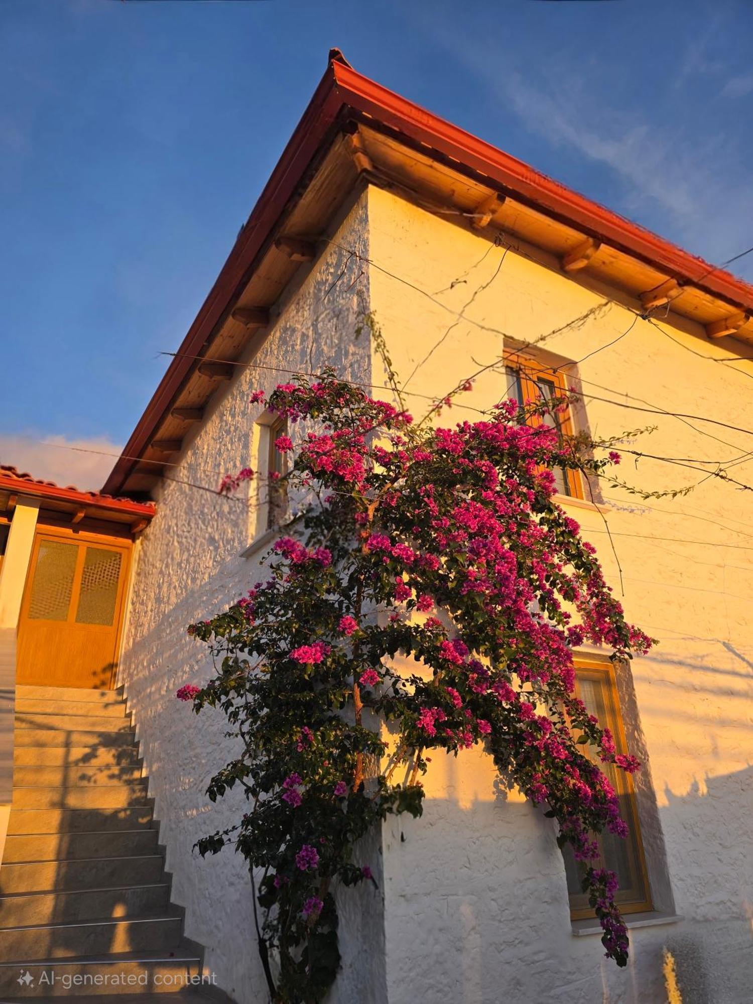 בורש Guest House Luiza מראה חיצוני תמונה