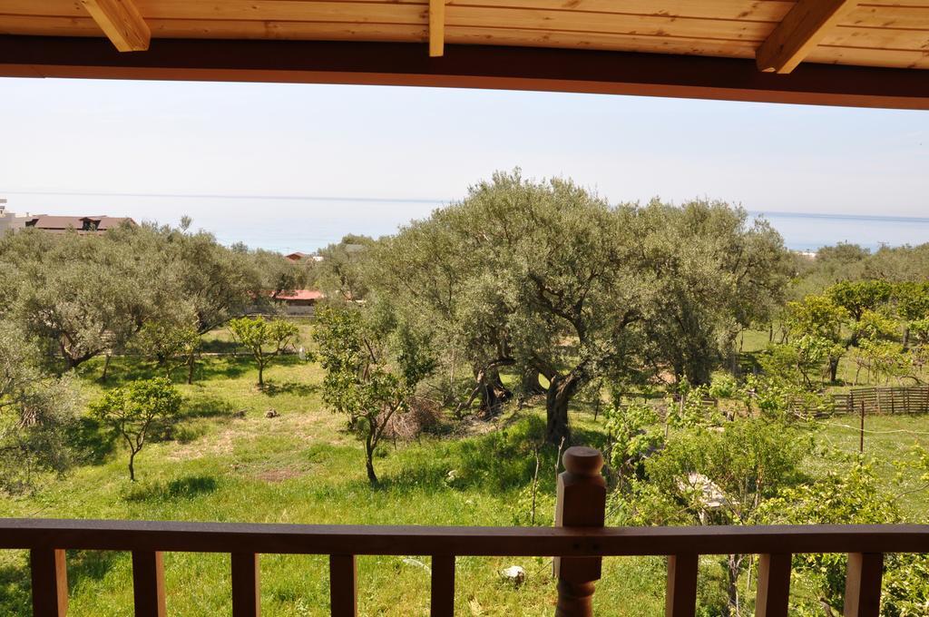 בורש Guest House Luiza חדר תמונה